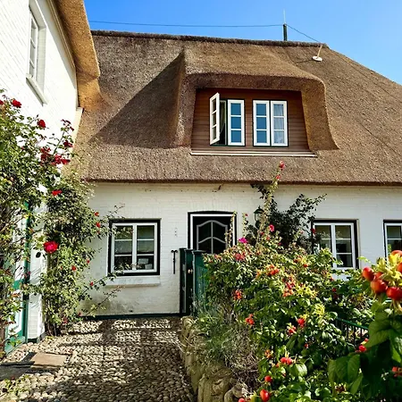 Deichhof Whg Weitblick